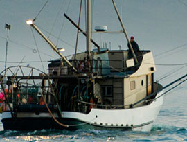 Commercial Fishing